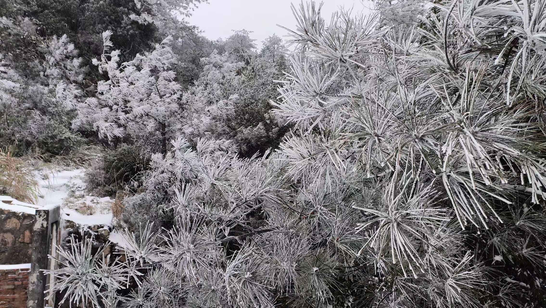 潭岭天湖-雪淞